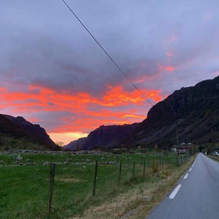 Ørsdalen Turistsenter Leilighet Vikeså Eksteriør bilde