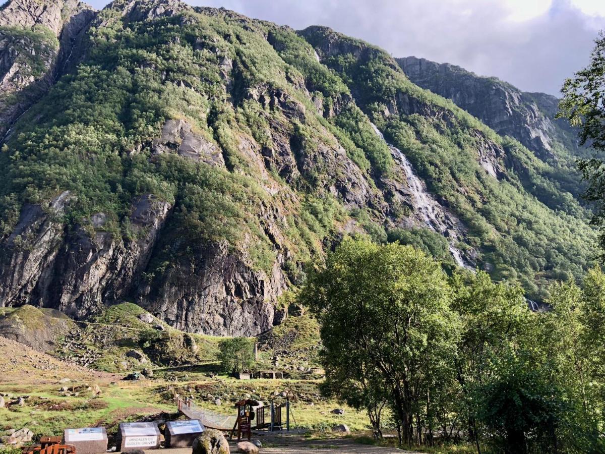 Ørsdalen Turistsenter Leilighet Vikeså Eksteriør bilde